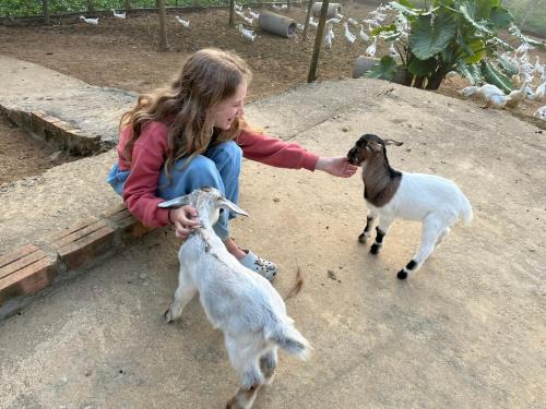 Son Trach Hotel | Phong Nha Mini Farm - Nguyen Shack