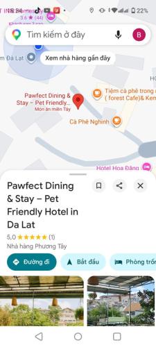 Da Lat Cabin | Pine Aura Dalat Inn