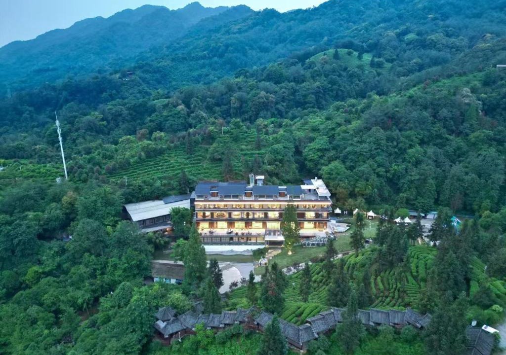 Dujiangyan Hotel | Qingchengdao Chashanfang Tea Culture Private Hot Spring Homestay
