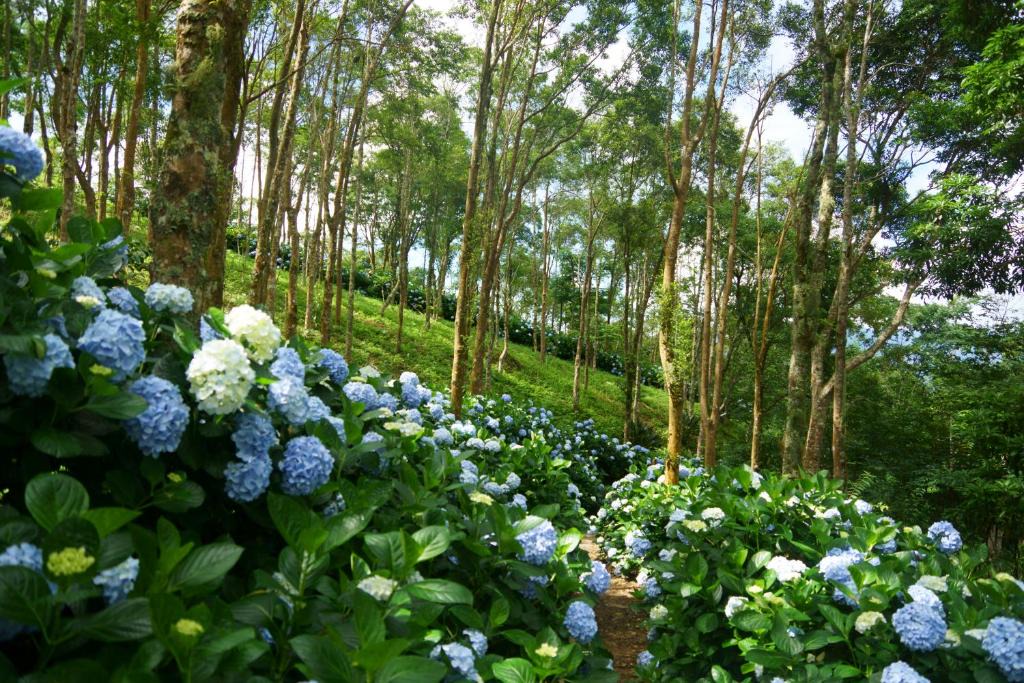 Jinfeng House | Qingshan Homestay