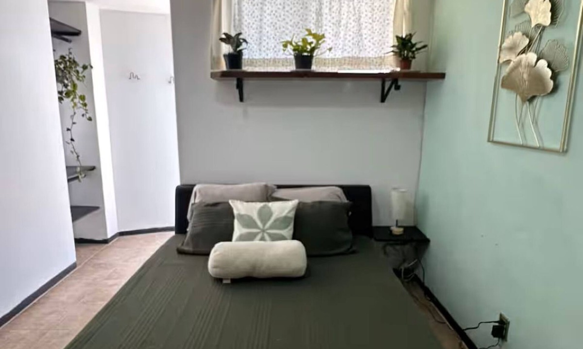 Coyoacan Apartment | Quiet Guesthouse with private terrace-near Perisur