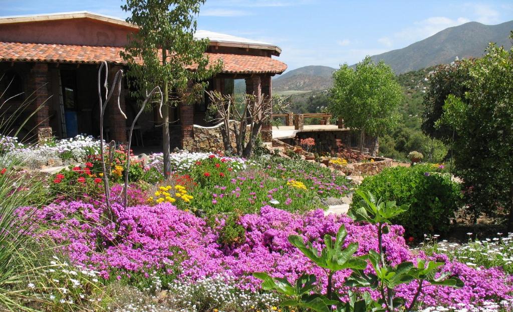 San Antonio de las Minas Bed & Breakfast | Quinta Maria en la Ruta del Vino