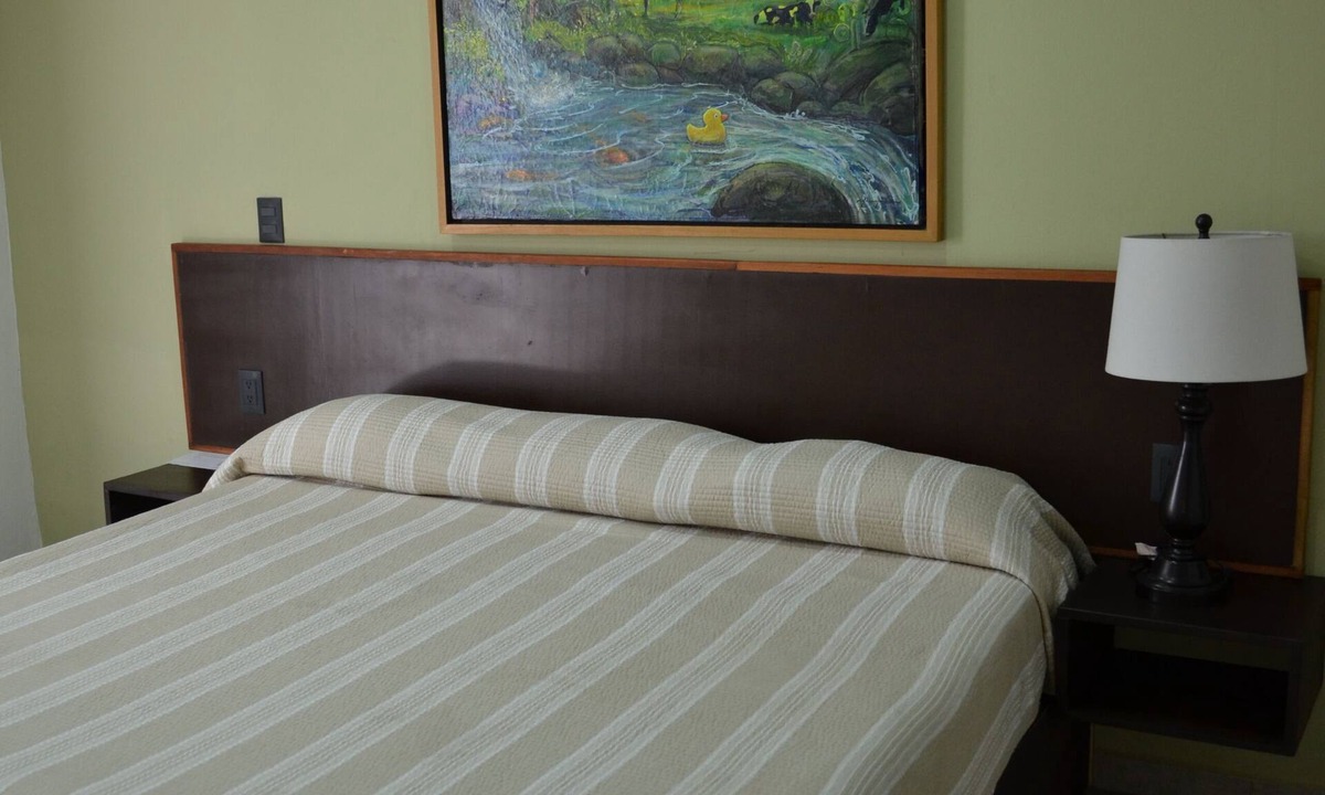 FERROCARRIL House | Renovated 5 Element house with small pool 15 minutes from downtown Oaxaca