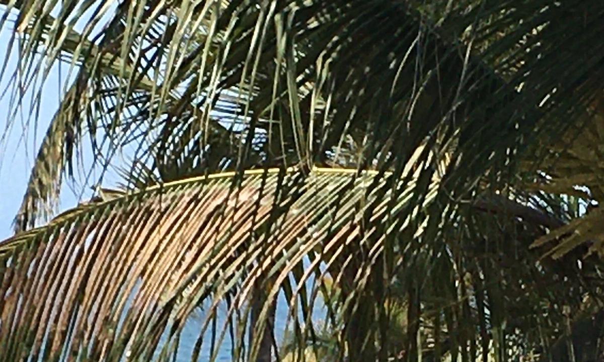 Las Glorias Resort | Resort Condo on the Beach