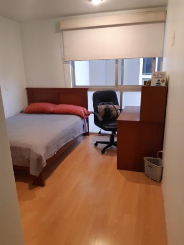 Benito Juarez House | Room in shared apartment