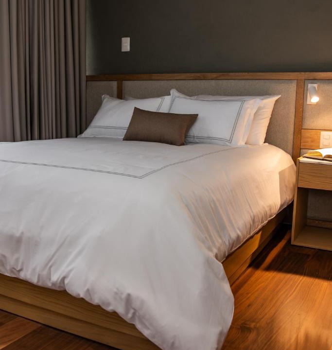 San Luis Potosi Hotel | S22 Hotel & Suites