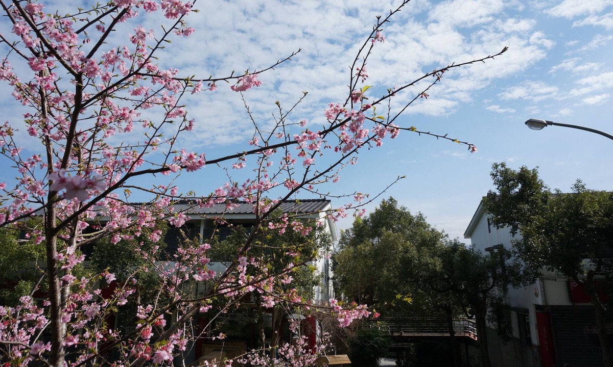 Sanyi Bed & Breakfast | Sanyi Happiness B&B