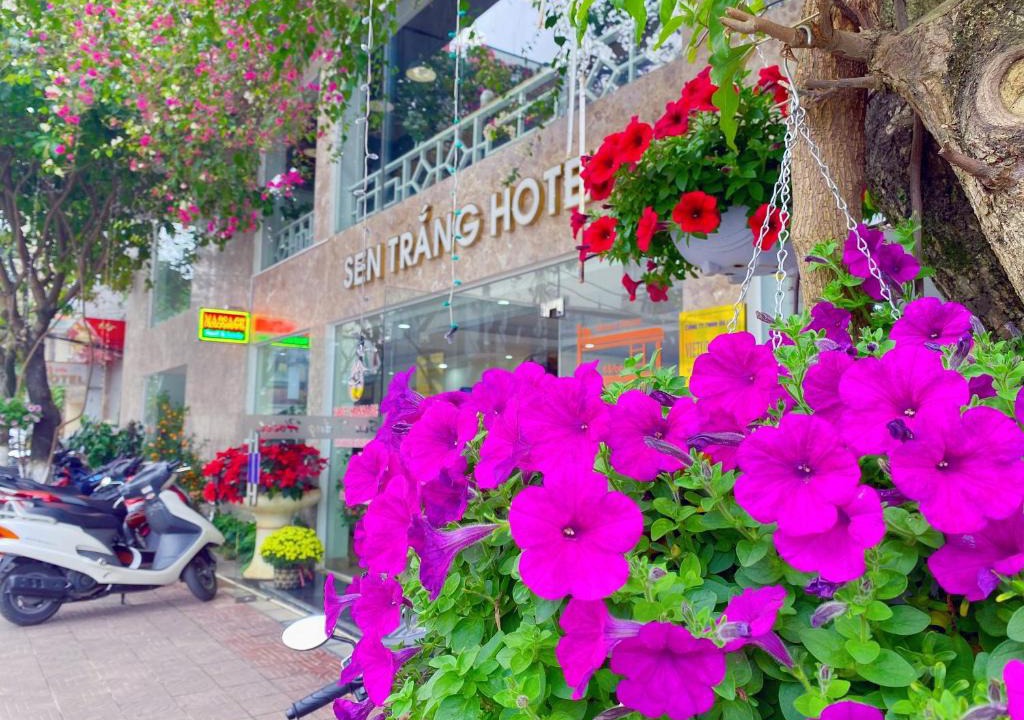 Lao Cai Hotel | Sen Trang Hotel