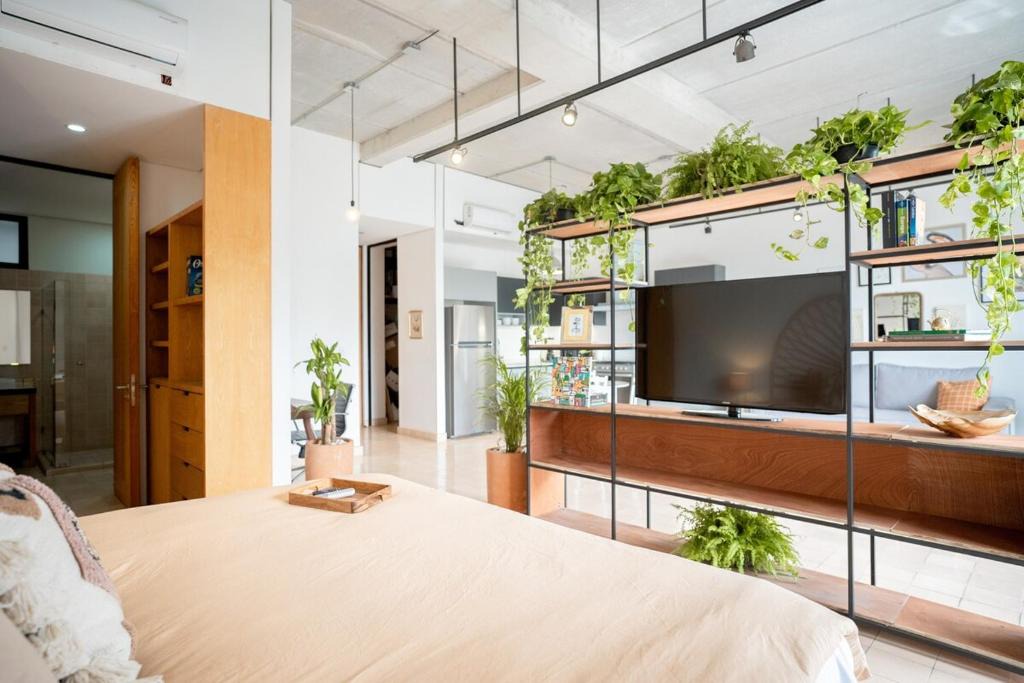 Americana Apartment | Serra Hospedajes Circulo Americana