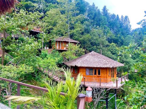 Chapa Bas Apartment | Sinai Bungalow & Hotel SaPa