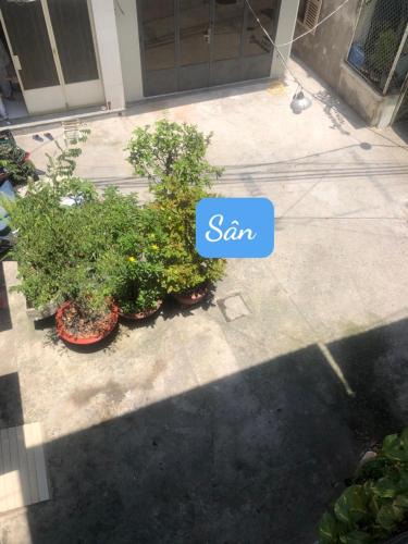 Binh Tan House | Sky home stay