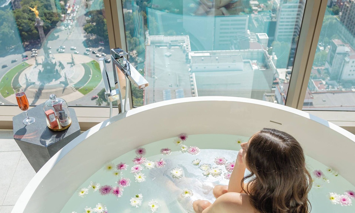 Colonia Cuauhtemoc Hotel | Sofitel Mexico City Reforma