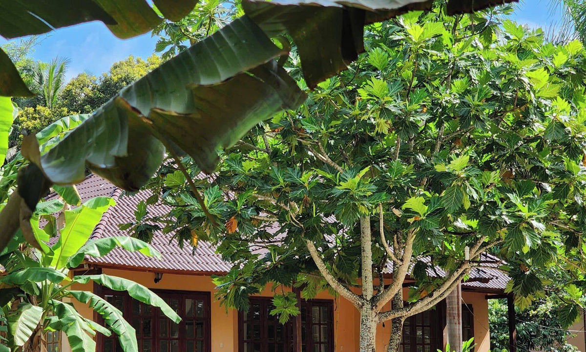 Ong Lang Hotel | Sunrise Resort Phu Quoc