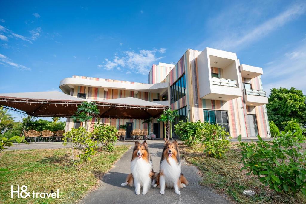 Taitung House | Taitung Rainbow Pet Friendly Maison Resort