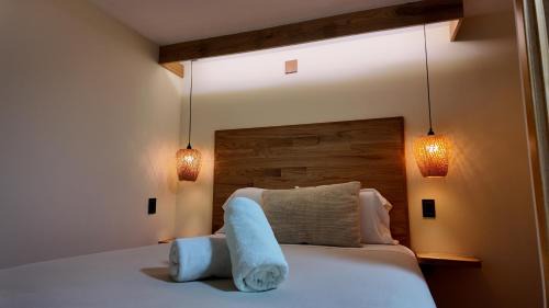 Coyoacan House | Terraza & Loft San Ángel