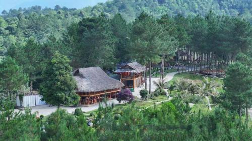 Than Uyen Hotel | Than Uyên Pineforest Homestay