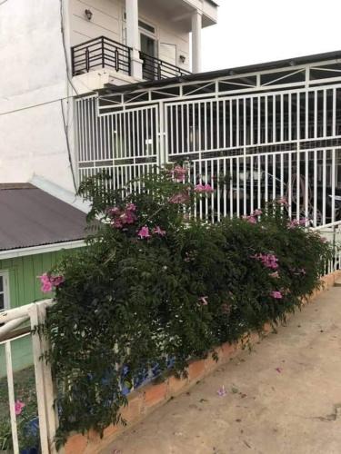 Da Lat Apartment | Thanh Ngọc Homestay 1
