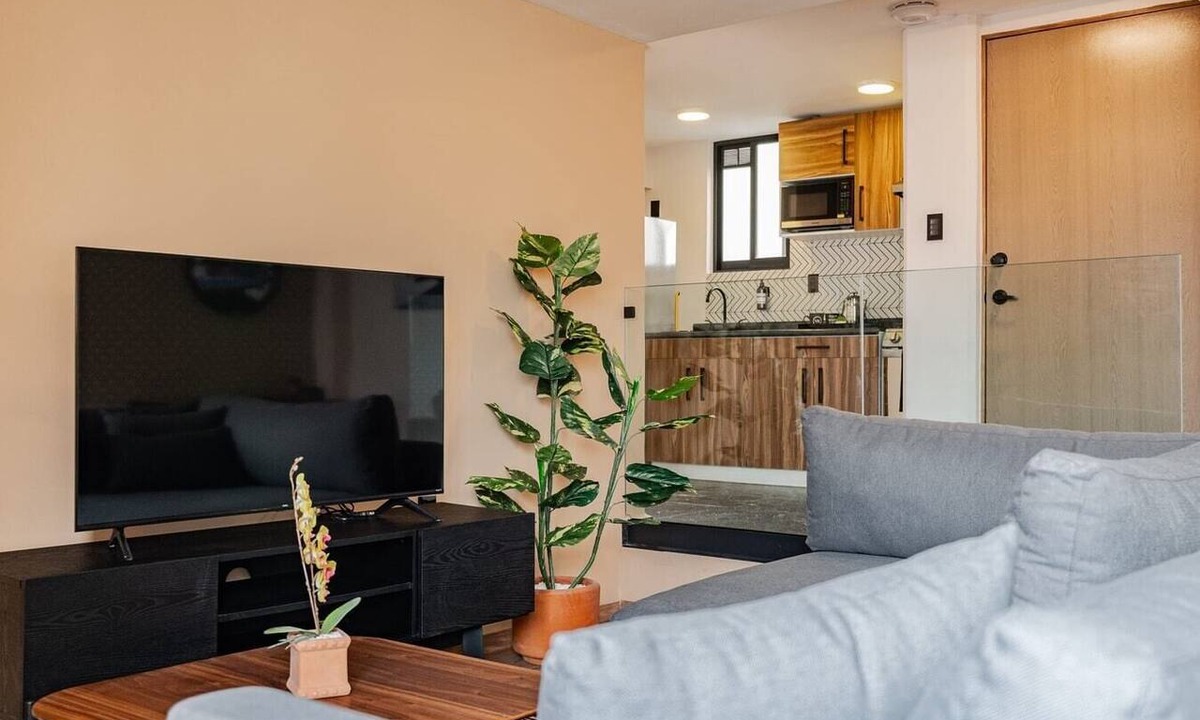 Roma Norte Apartment | VH | comodo depa en Roma Norte + wifi | 347