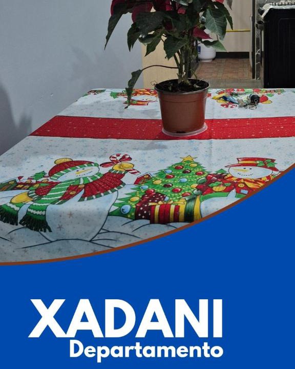 Oaxaca Apartment | Xadani departamento