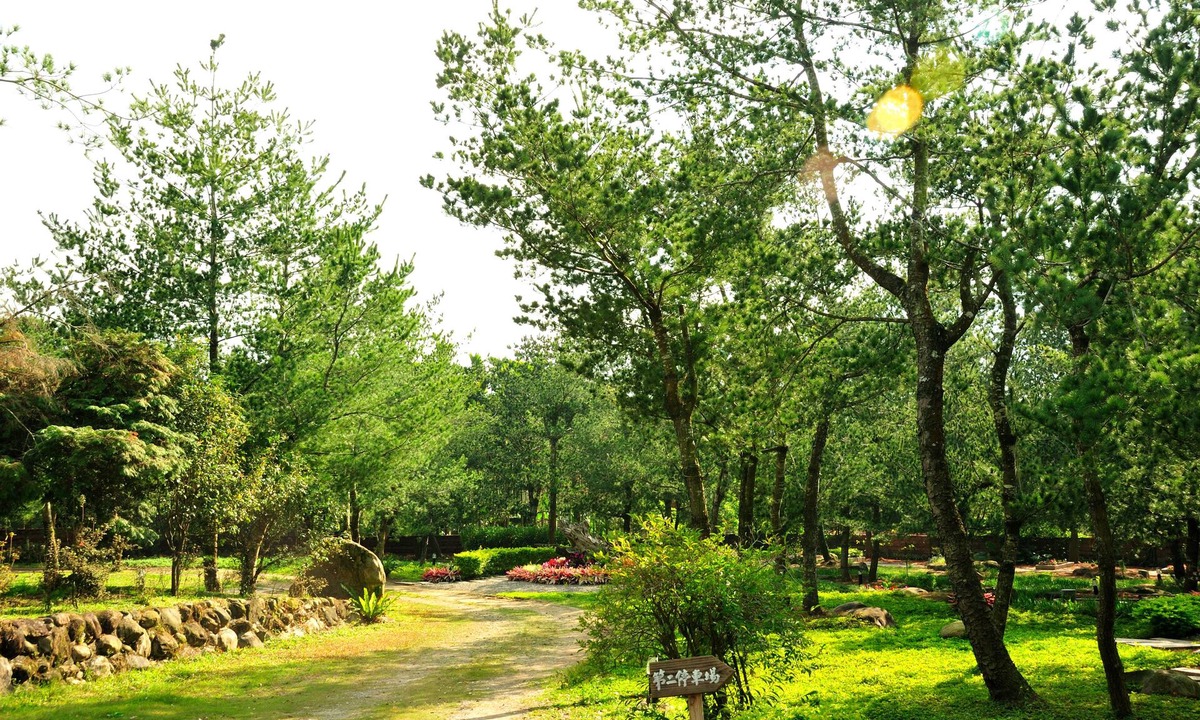 Shuili Hotel | Zen and Pine Resort
