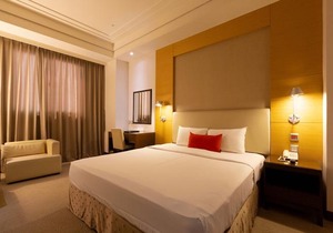 Ever Delightful Business Hotel