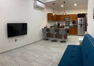 PALMAS DE CHAHUE 4 (474 SF)