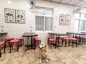 Dafeng Homestay | Xiaoliuqiu