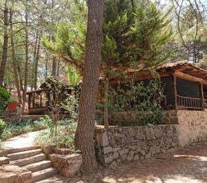 Cabañas Tapalpa Sierra Del Tecuan Cabaña 