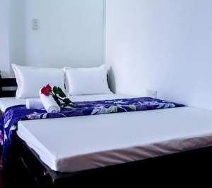 Thanh An Guesthouse 