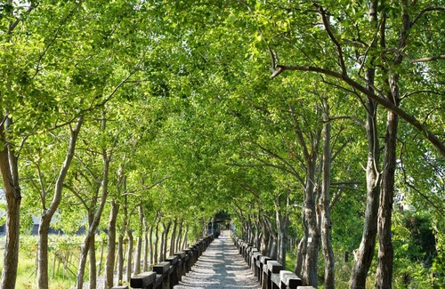 Wujie Bed & Breakfast | 149 m² Bed and breakfast ∙ 2 guests