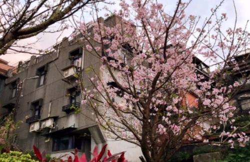Ruifang Hotel | 15 m² Motel ∙ 4 guests