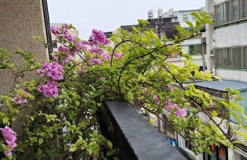 Hualien City Centre Apartment | 18 m² Apartment ∙ 1 bedroom ∙ 2 guests