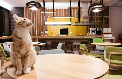 Yuchi Hotel | 28 m² Motel ∙ 3 guests