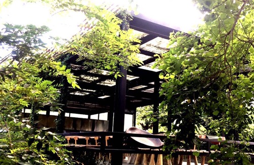 Donghe Hotel | 33 m² Motel ∙ 127 guests
