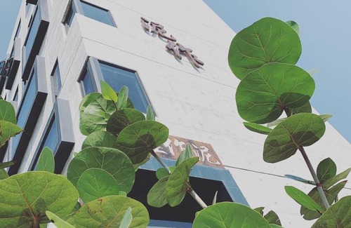 Xincheng Bed & Breakfast | Come Sit Hostel