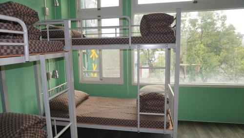 Hualien City Centre Hostel | Lovely Bean Hostel