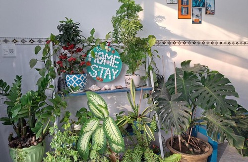 Quy Nhon Hotel | Ánh Dương Homestay - Coastal stop - Just 2 mins walking to Eo Gio