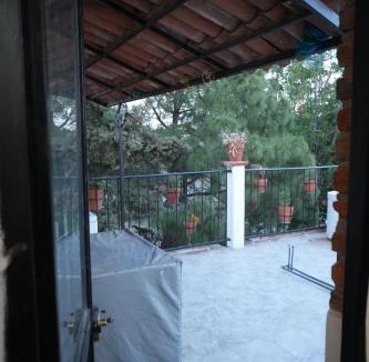 Aguascalientes Apartment | Árbol Paraíso y Terraza Mezquite