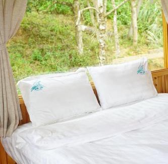 Kon Plong Hotel | Đồi gió Homestay Măng Đen