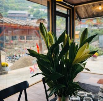 Bac Yen Hotel | Ơ MÂY ZING Homestay
