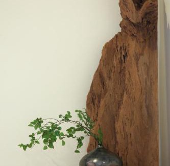 Ji'an House | 三匠獨棟庭園別墅 1歡唱烤肉打牌 -僅包棟 2聰明包棟-依人數提供床位及房間數 3寵物友善 4近夜市