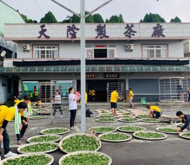Alishan House | 天隆製茶廠民宿
