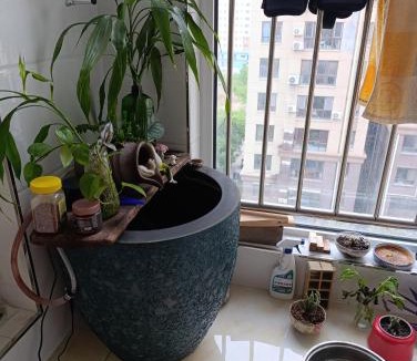 Admiralty Apartment | 媛媛的家