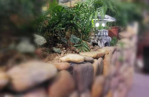 Yongding House | 悦栖民宿