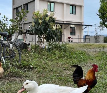 Guanshan Bed & Breakfast | 楠山民宿Nanshan B&B