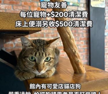 Puli Hostel | 缽割貓點點 青旅 DianDian hostel