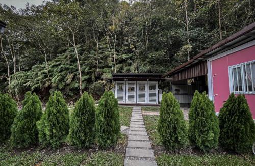 Datong Other | 鉄木彩虹小屋
