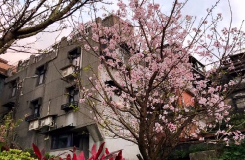 Ruifang Hotel | 15 m² Motel ∙ 4 guests