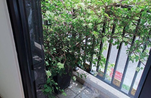 Hualien City Centre Apartment | 18 m² Apartment ∙ 1 bedroom ∙ 2 guests