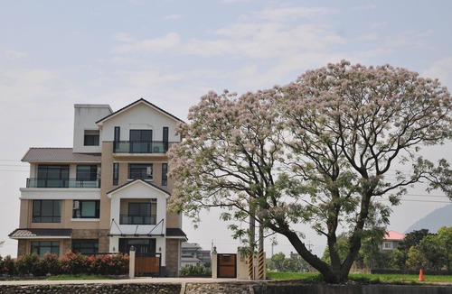 Ji'an Bed & Breakfast | 201 Mountain View Double room Hualien